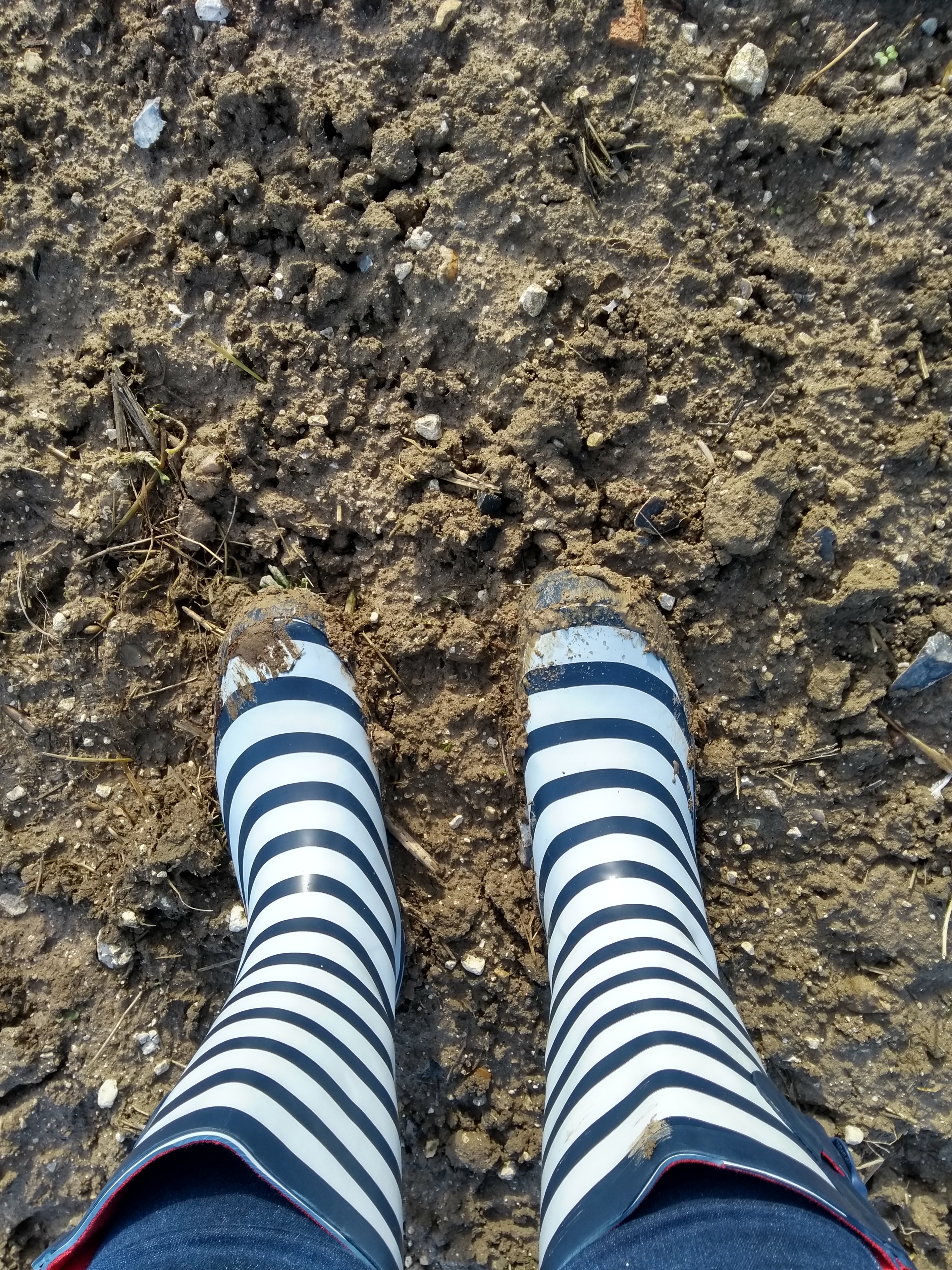 Moving to a new patch