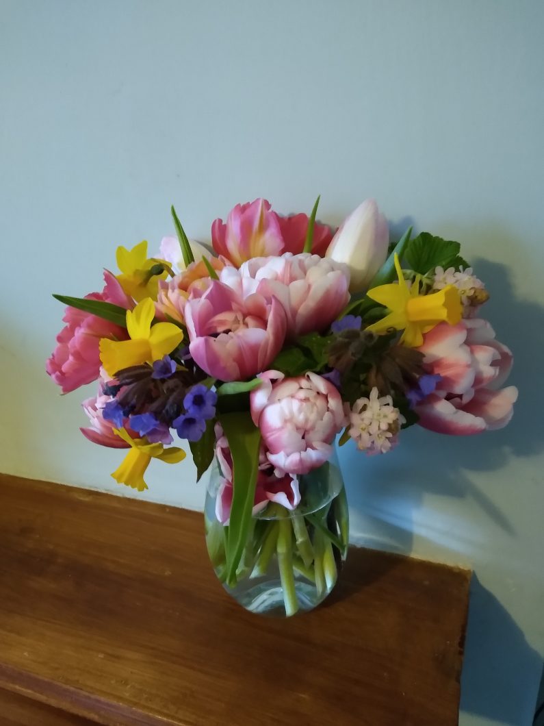 A #52posies update