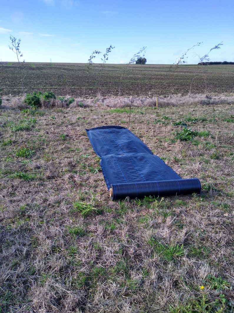 Re-location update – the new place